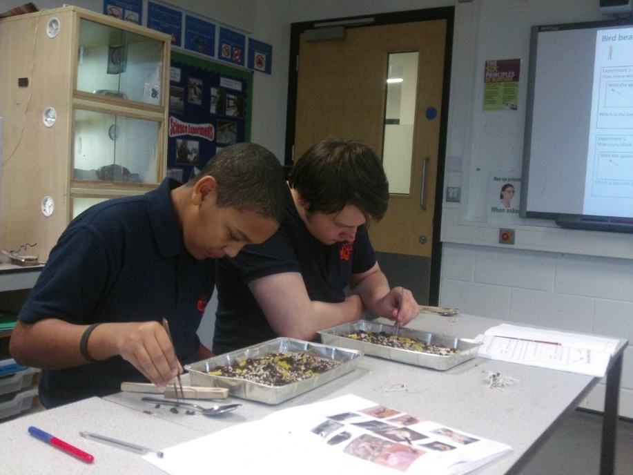 Science in Year 10